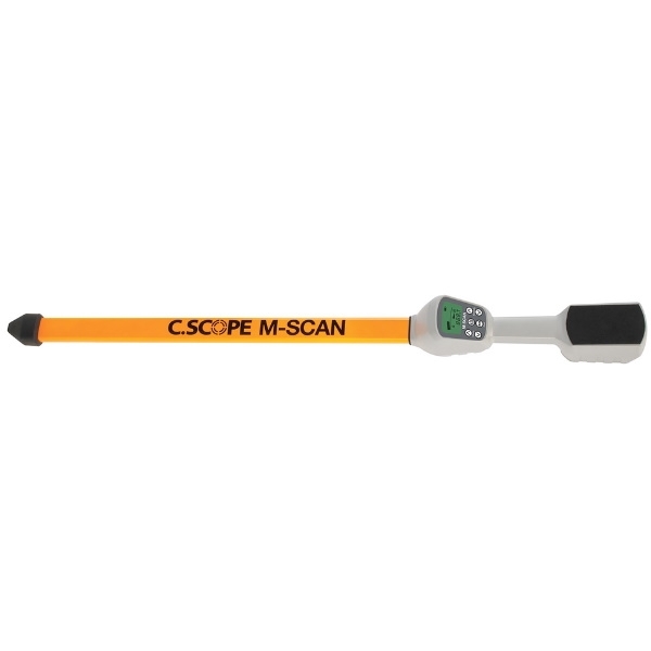 The M-SCAN Magnetometer