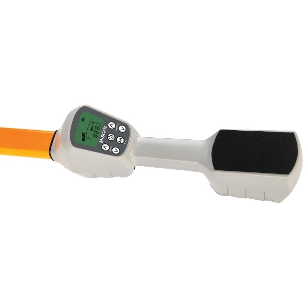 The M-SCAN Magnetometer